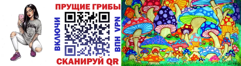Псилоцибиновые грибы GOLDEN TEACHER Новокузнецк